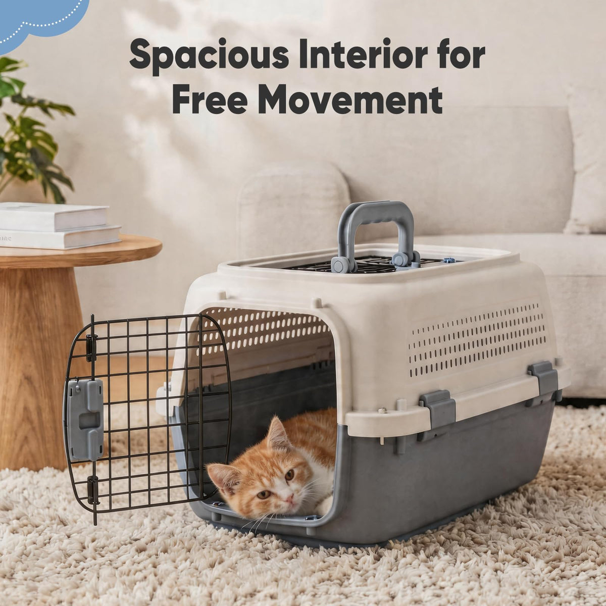 Airline Approved Small Pet Travel Carrier