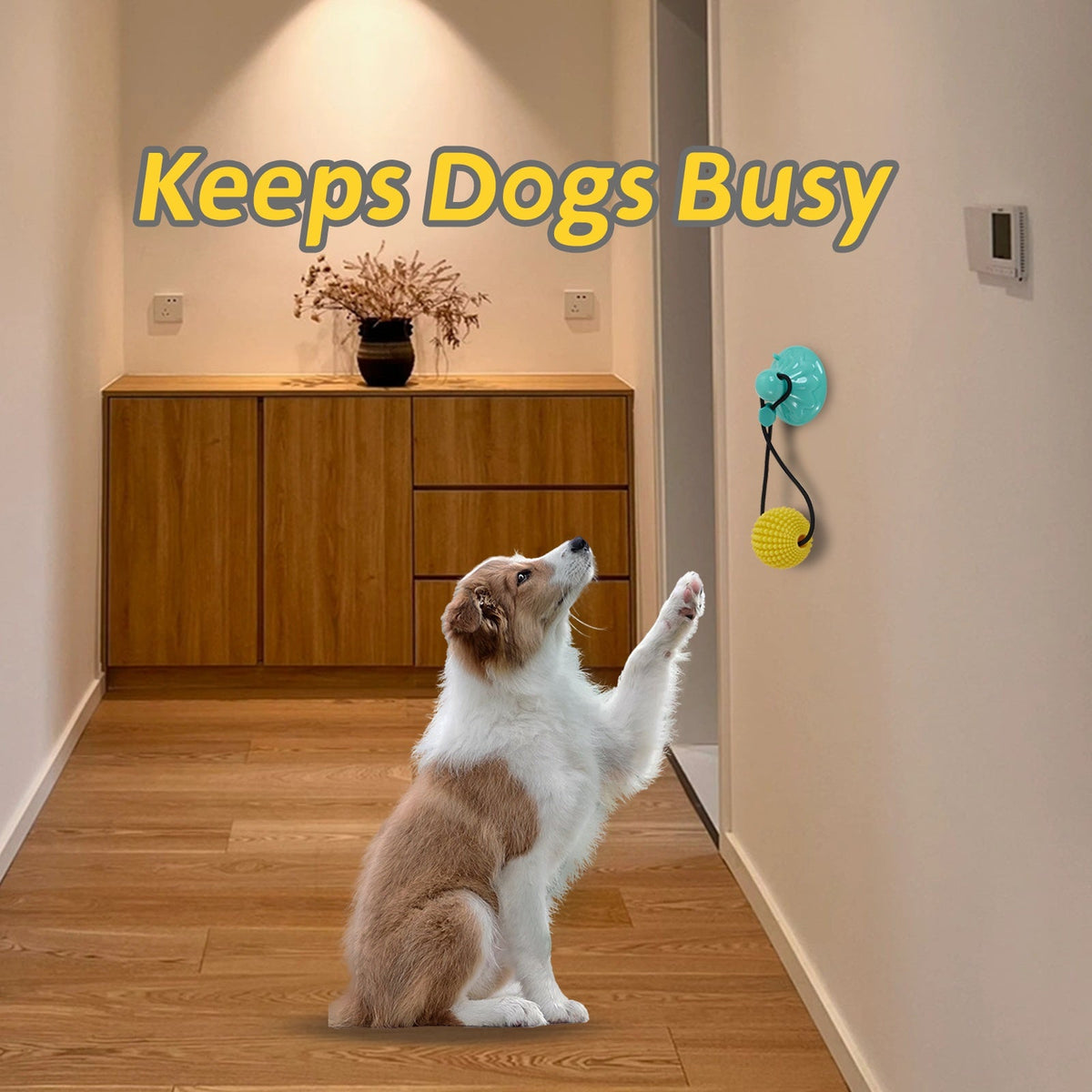 Interactive Suction Cup Dog Tug Toy