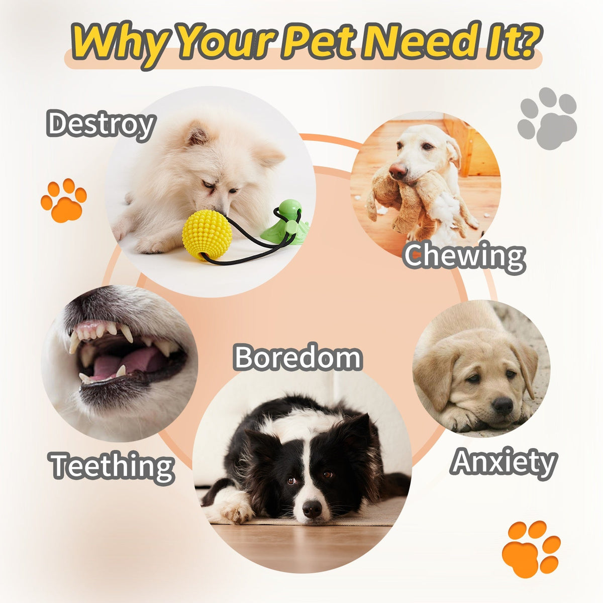 Interactive Suction Cup Dog Tug Toy