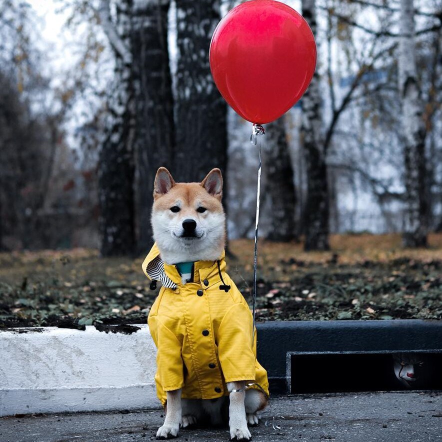 Waterproof Dog Raincoat Lightweight Pet Clothes
