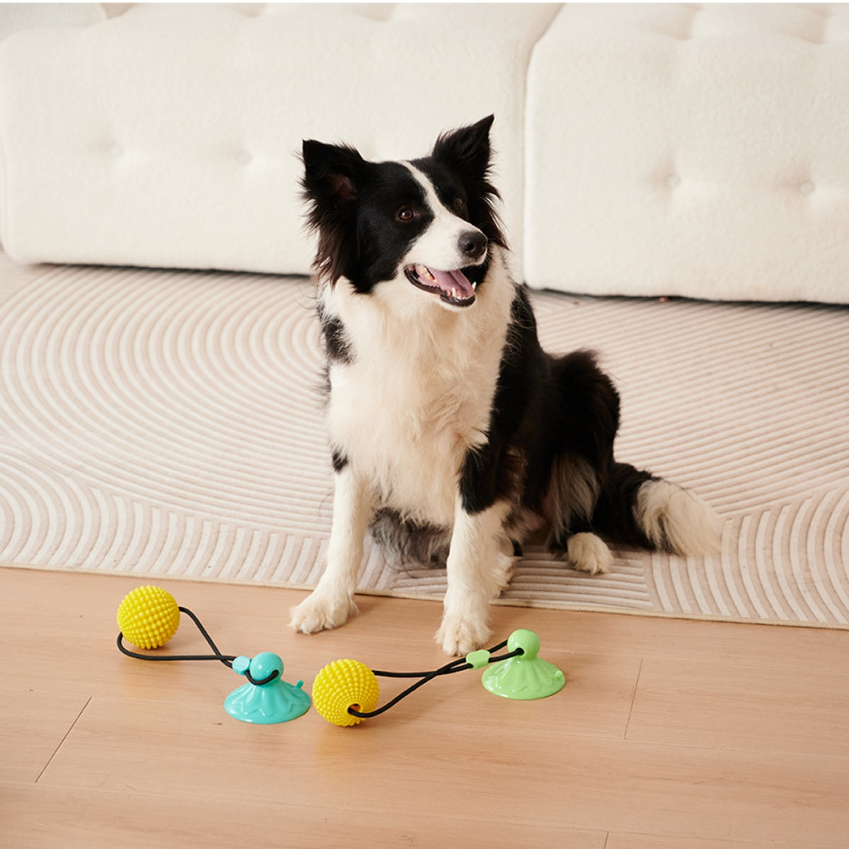 Interactive Suction Cup Dog Tug Toy