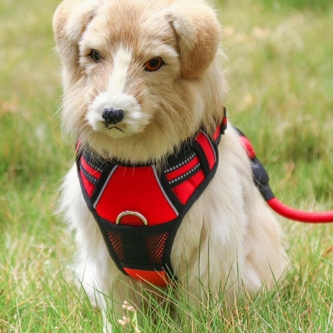 Explosion-Proof Reflective Pet Leash Harness
