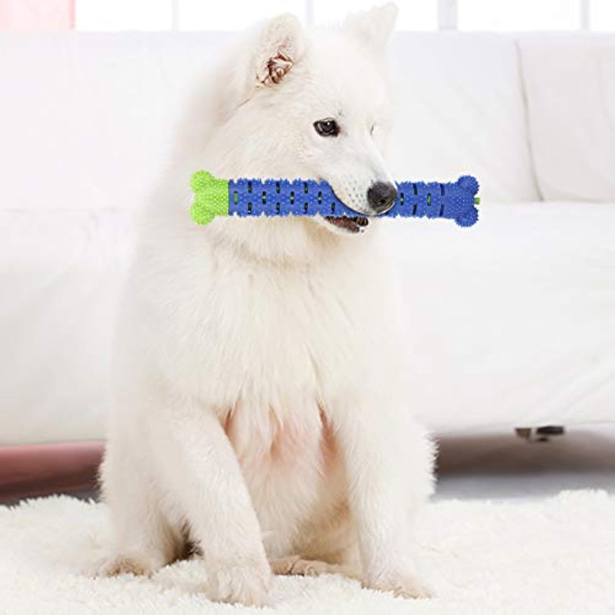 Blue Green Dog Molar Cleaning Toothbrush