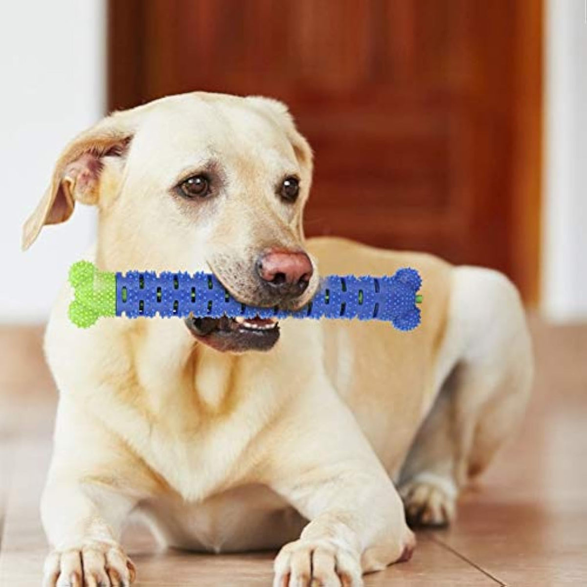 Blue Green Dog Molar Cleaning Toothbrush