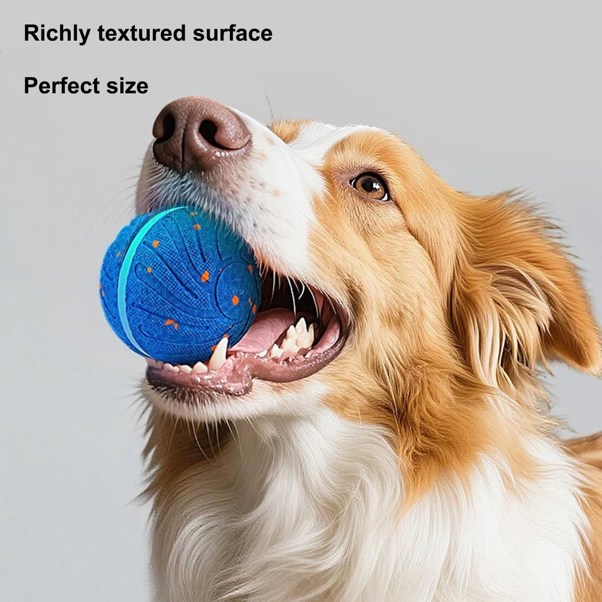 Smart Moving Bouncing Light-Up Dog Ball