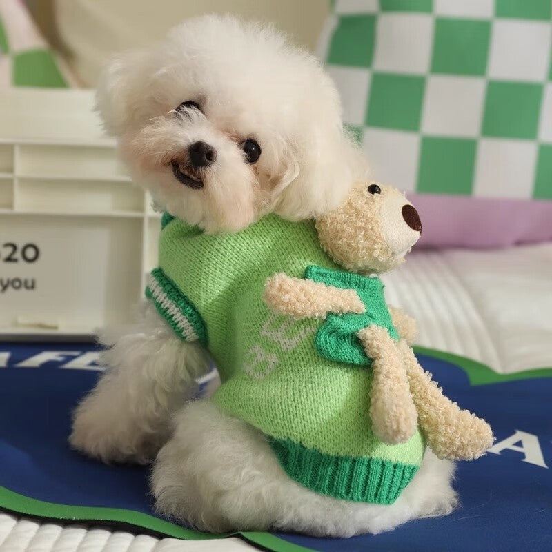 Autumn Bichon Frise Puppy Dog Sweater