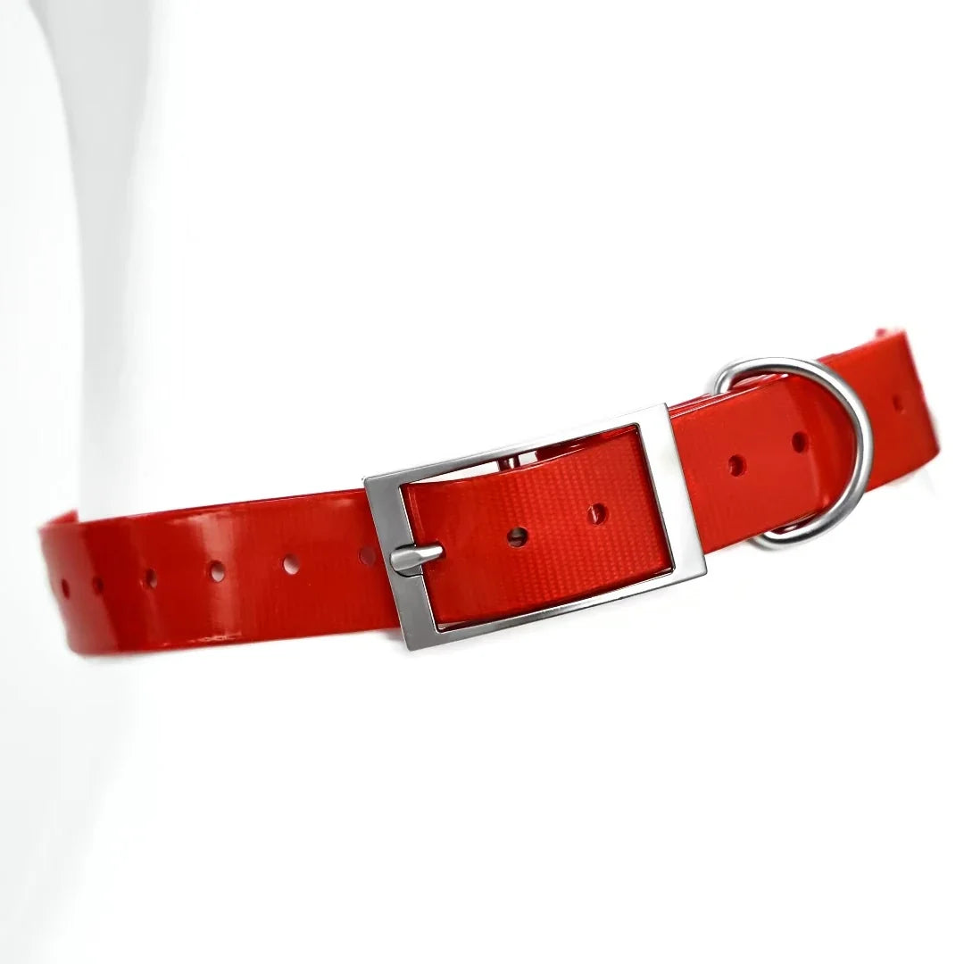 Heavy-Duty Waterproof TPU Dog Collar
