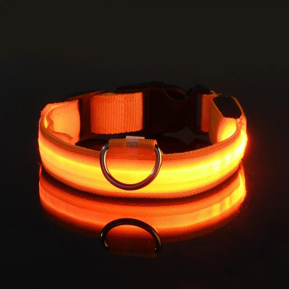 LED Nylon Glow Night Safety Dog Collar