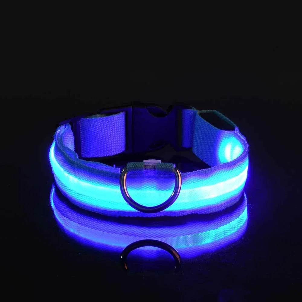 LED Nylon Glow Night Safety Dog Collar