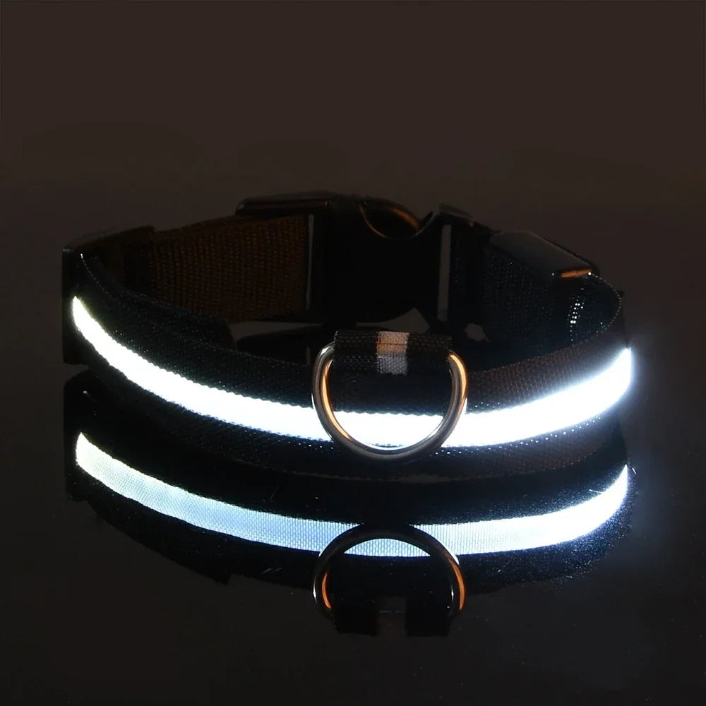 LED Nylon Glow Night Safety Dog Collar