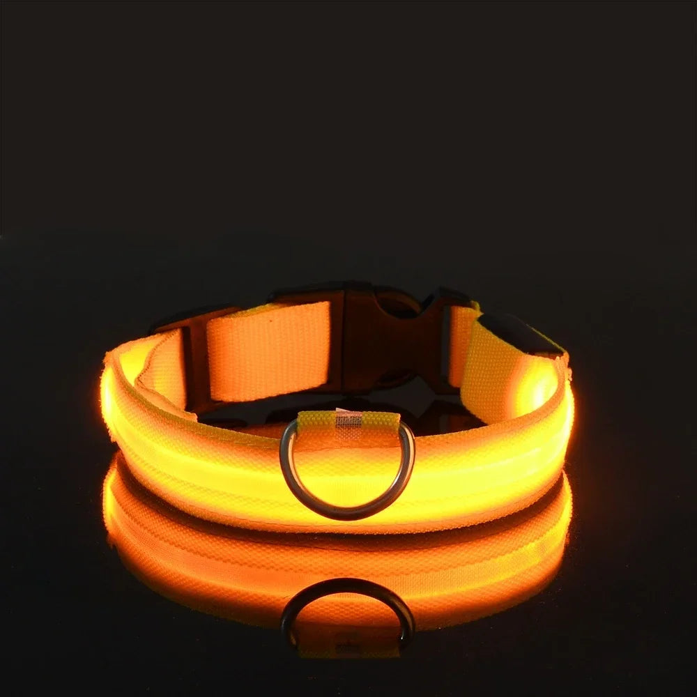 LED Nylon Glow Night Safety Dog Collar