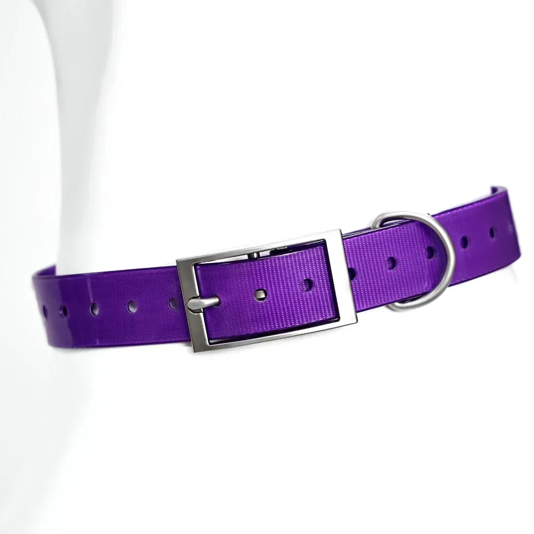 Heavy-Duty Waterproof TPU Dog Collar