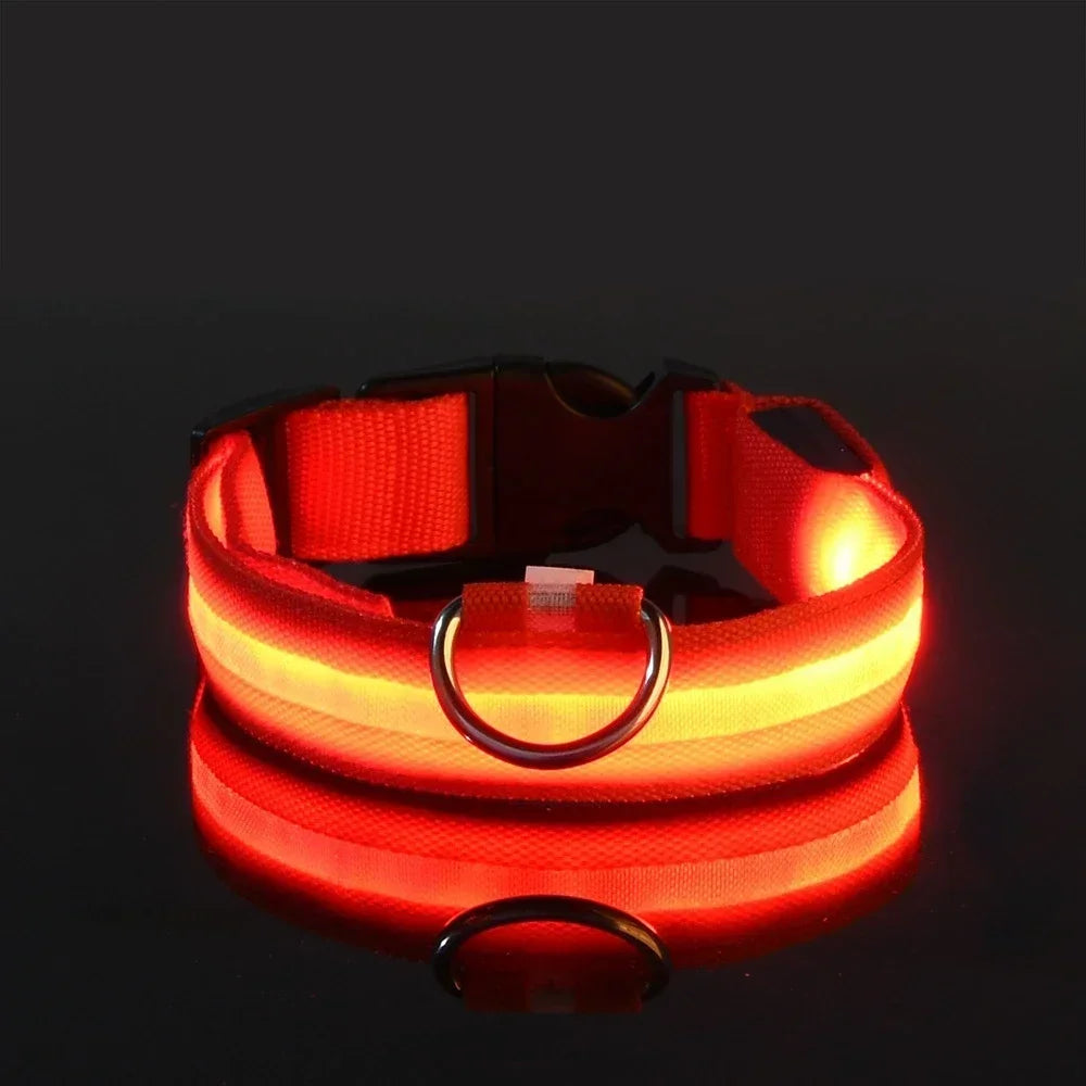 LED Nylon Glow Night Safety Dog Collar
