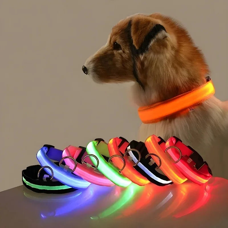 LED Nylon Glow Night Safety Dog Collar
