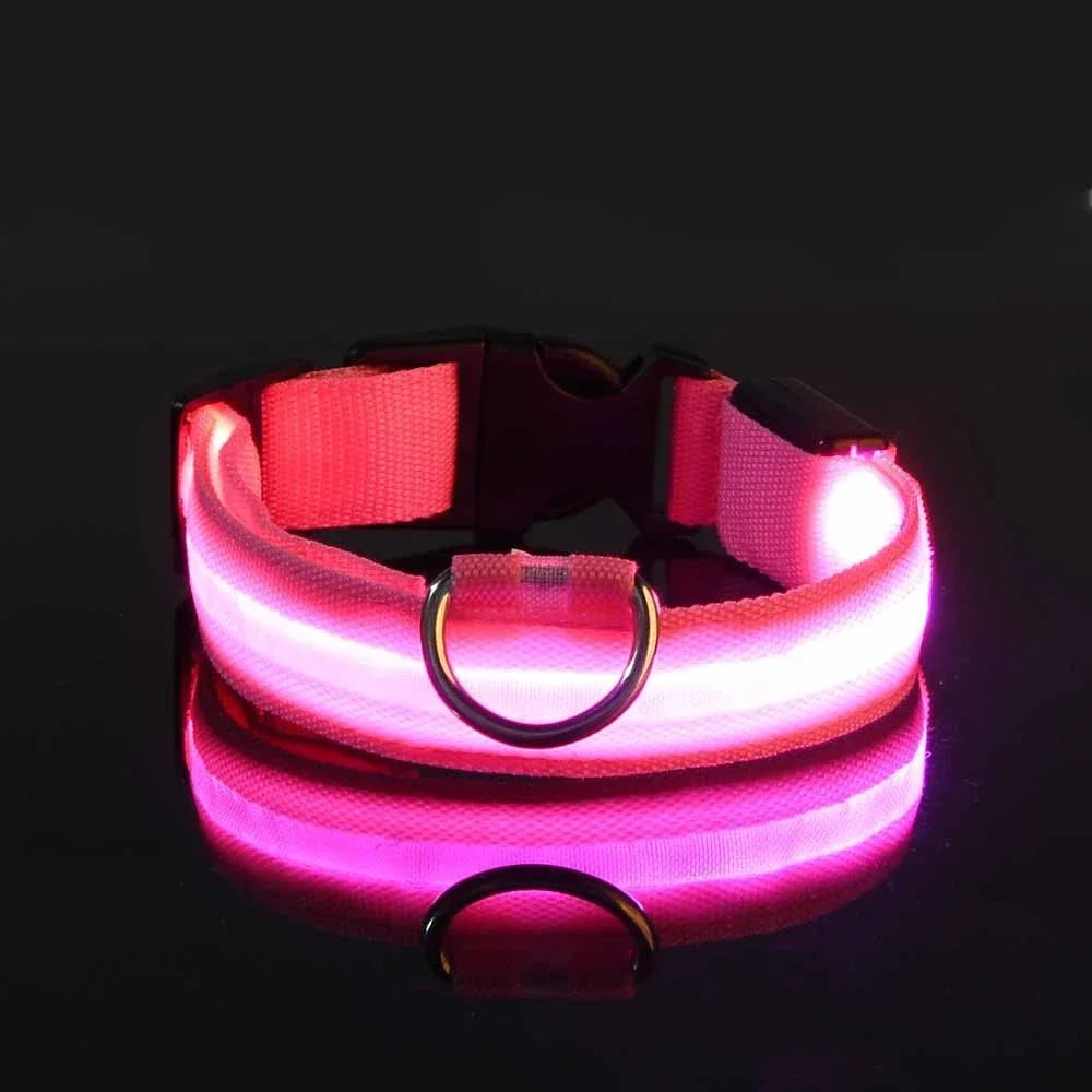 LED Nylon Glow Night Safety Dog Collar