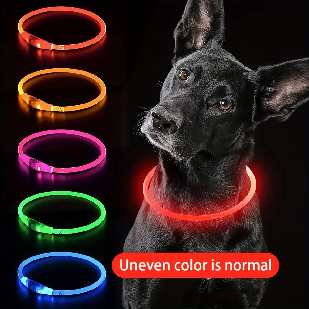 USB Rechargeable LED Luminous Dog Collar