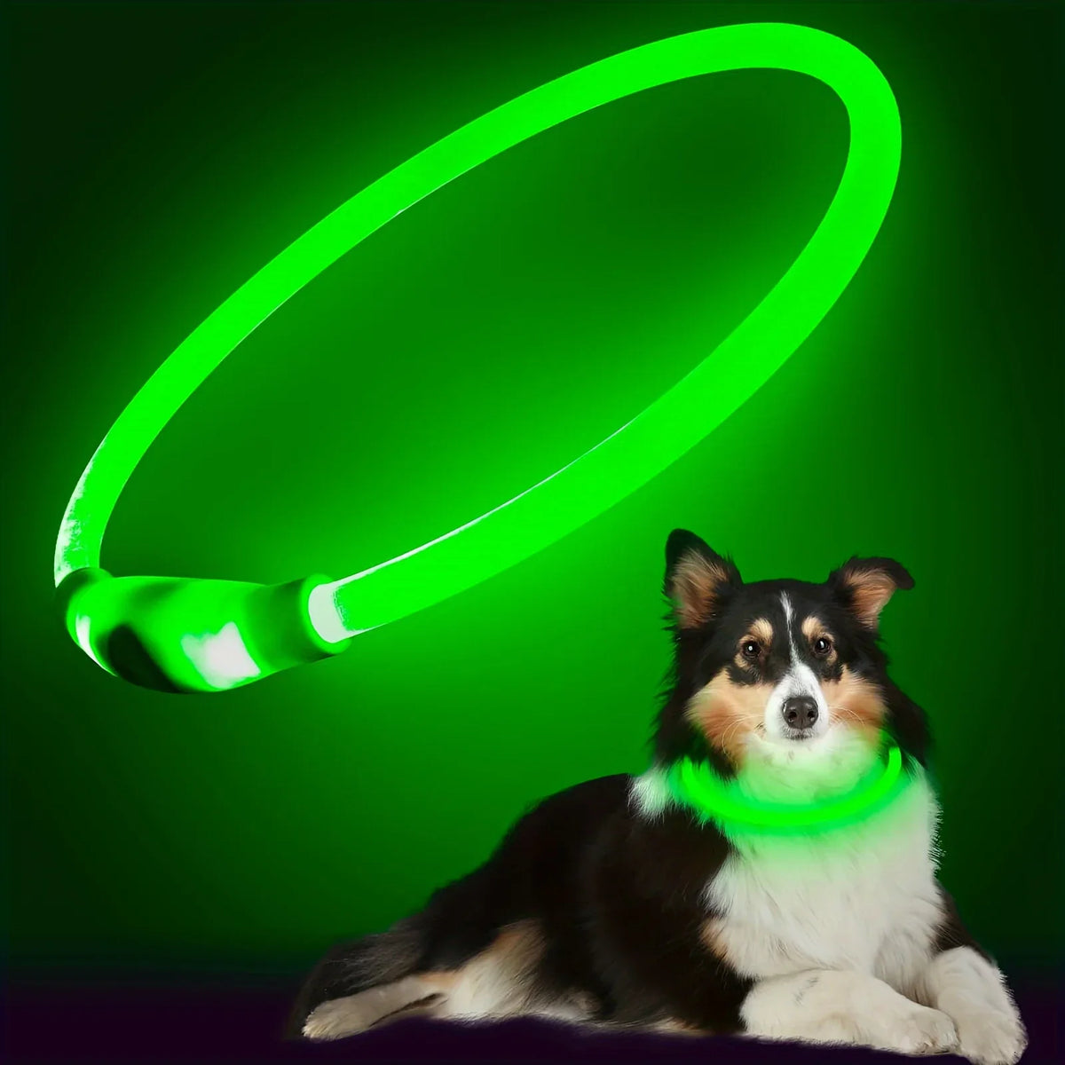 USB Rechargeable LED Luminous Dog Collar