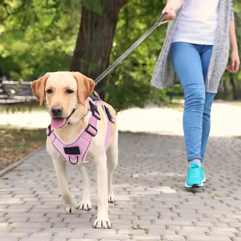 No-Pull Adjustable Locator Dog Chest Harness