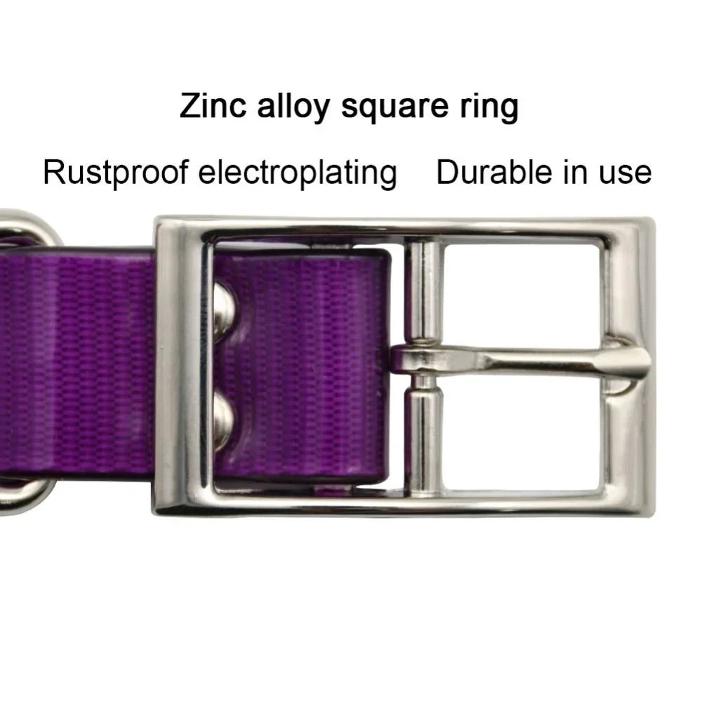 Heavy-Duty Waterproof TPU Dog Collar