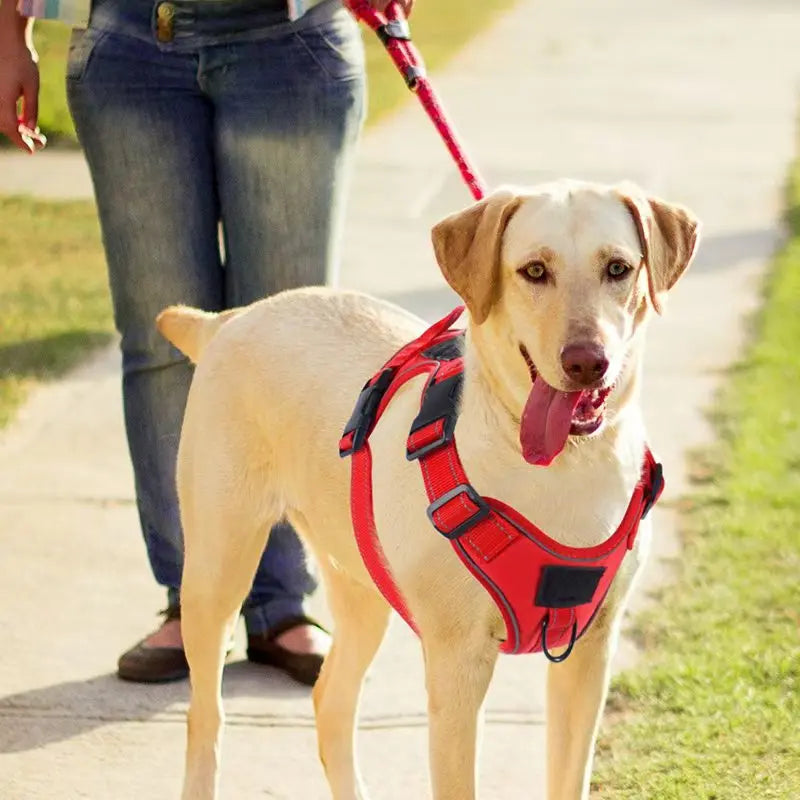 No-Pull Adjustable Locator Dog Chest Harness