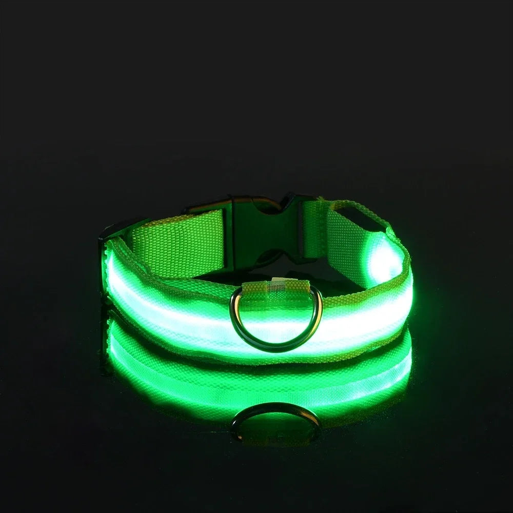 LED Nylon Glow Night Safety Dog Collar