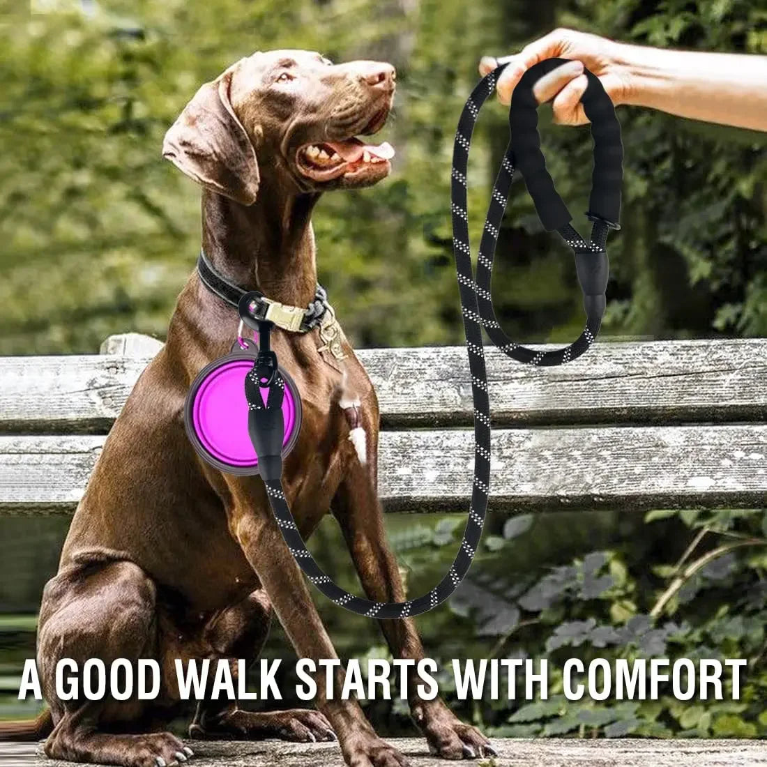 Strong Reflective Leash For Large Dogs
