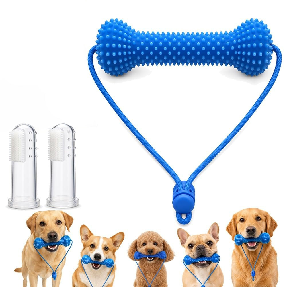 Dual-Action Dog Dental Chew Toothbrush Toy