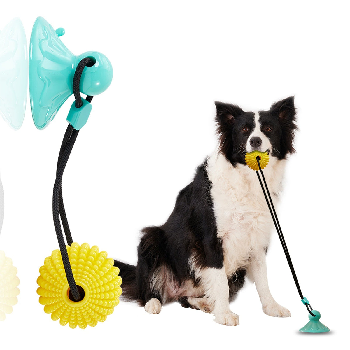 Interactive Suction Cup Dog Tug Toy