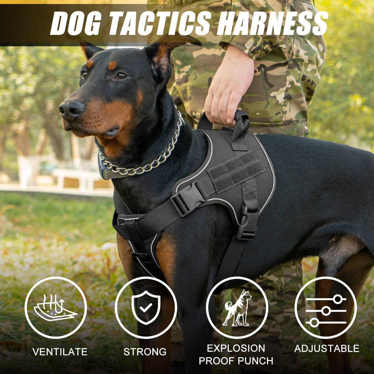 Breathable Tactical Harness With Large Dog Leash