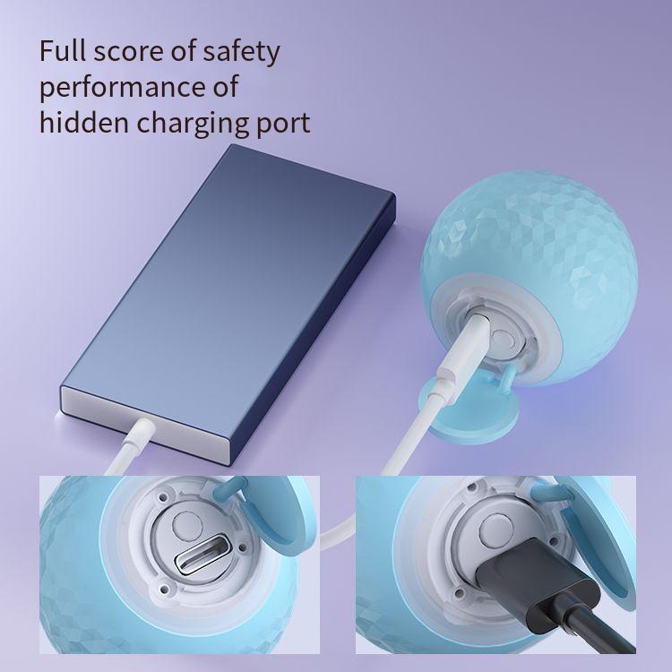 Smart Rolling Ball Cat Toy