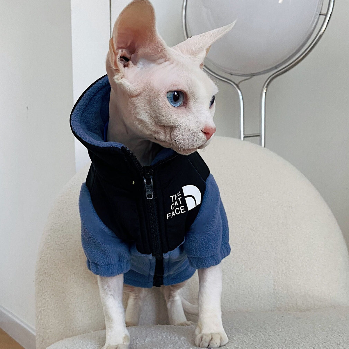 Warm Hairless Cat Clothes Pet Sweater