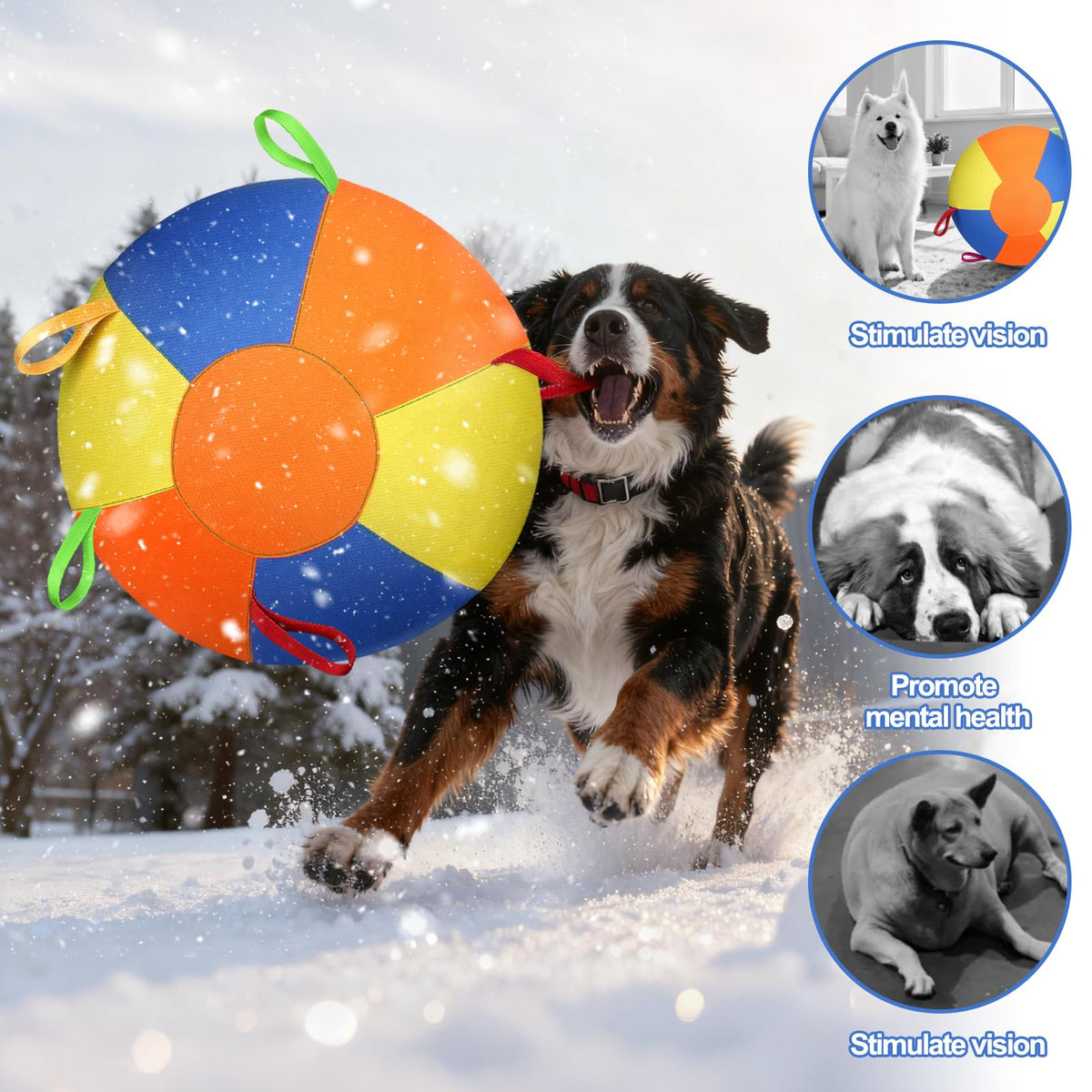 Large Dog Herding Ball With Handles