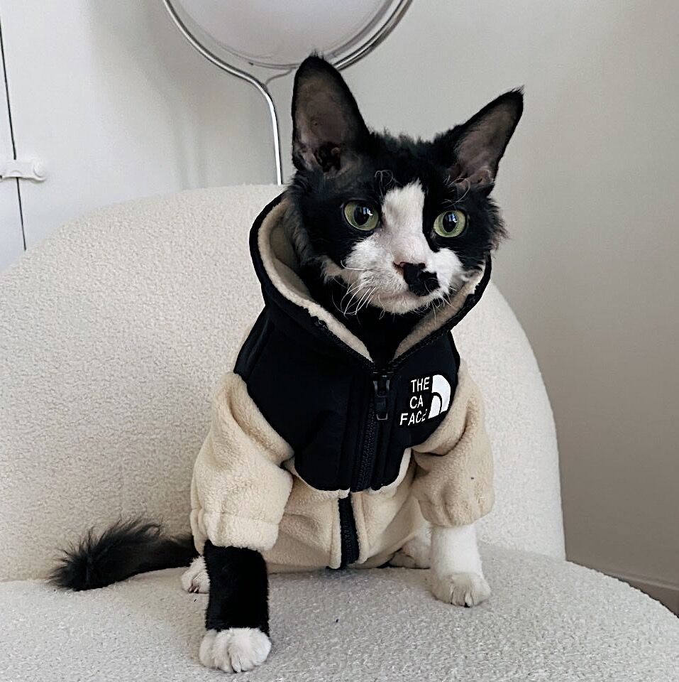 Warm Hairless Cat Clothes Pet Sweater