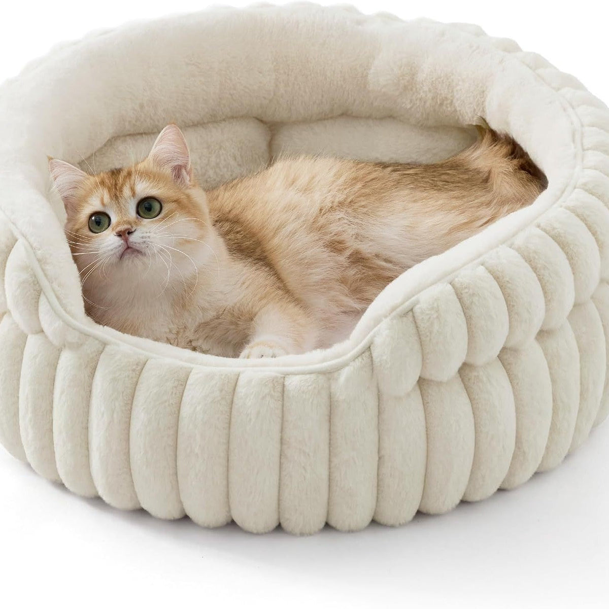 Warm Winter Cat Dog Bed House