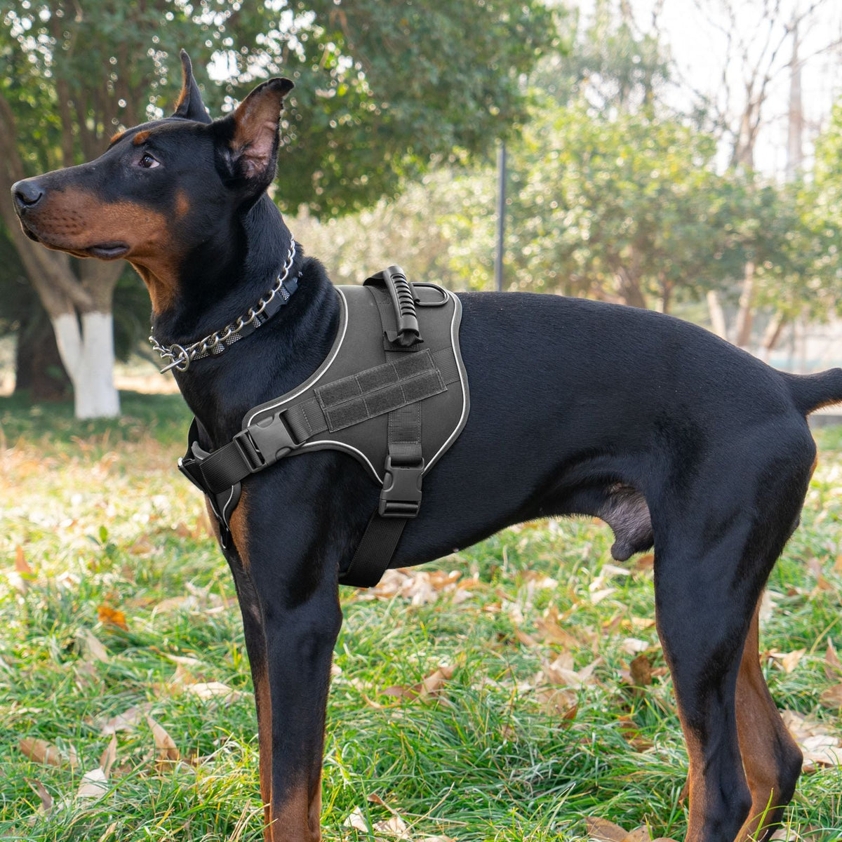 Breathable Tactical Harness With Large Dog Leash