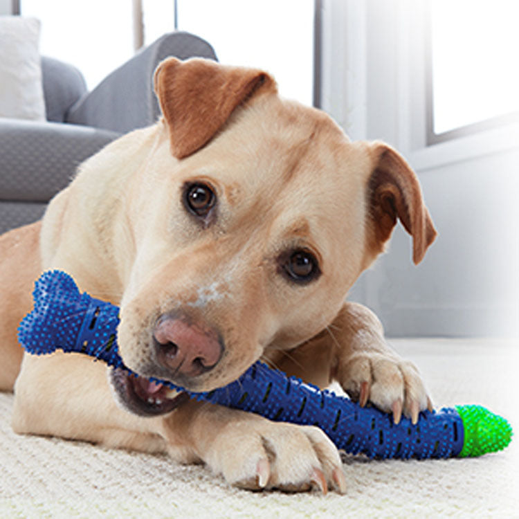 Blue Green Dog Molar Cleaning Toothbrush