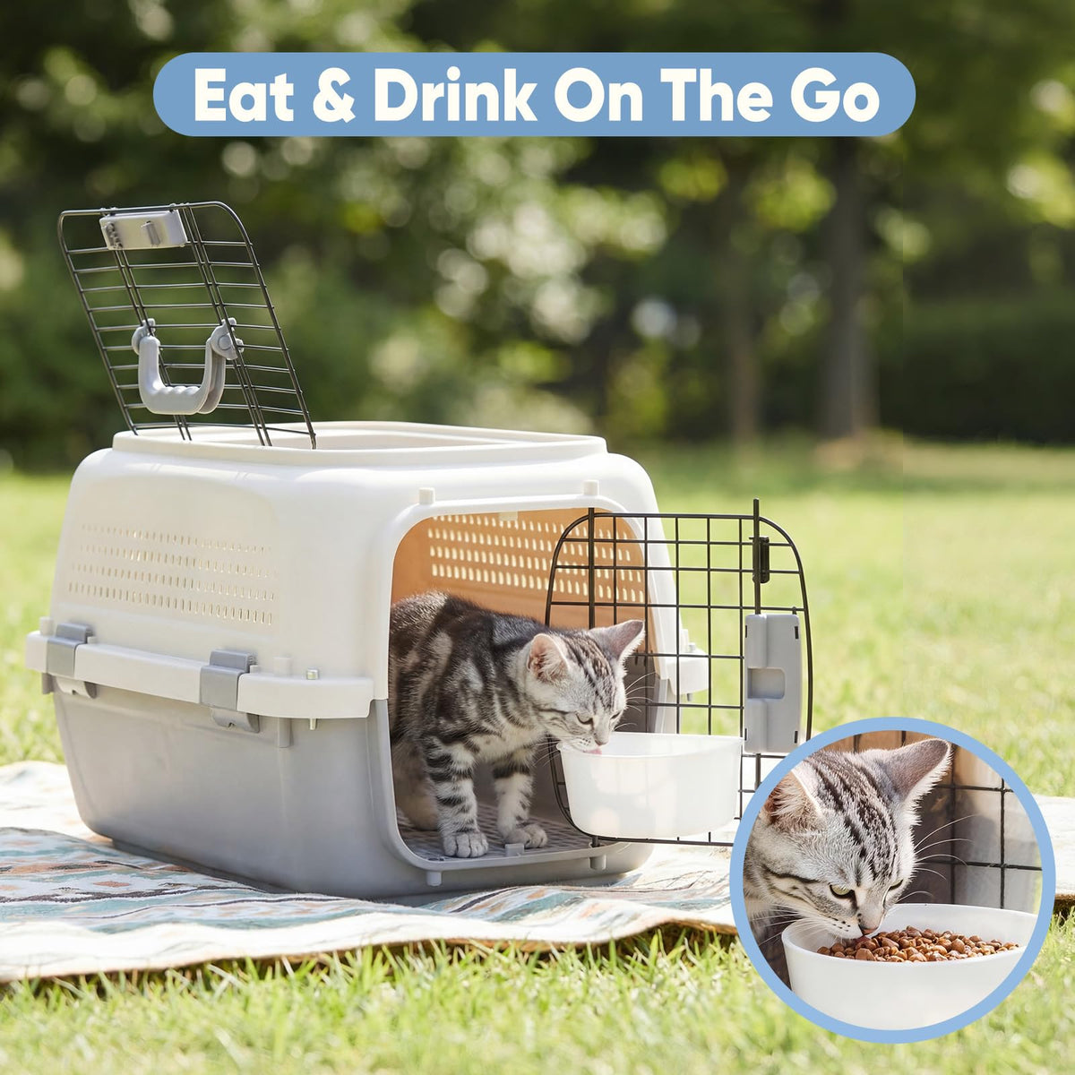 Airline Approved Small Pet Travel Carrier