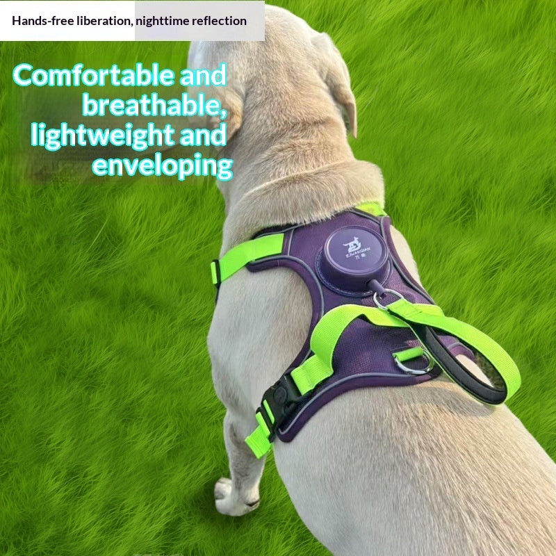 Automatic Retractable Dog Leash Harness Set