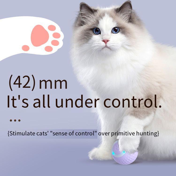 Smart Rolling Ball Cat Toy