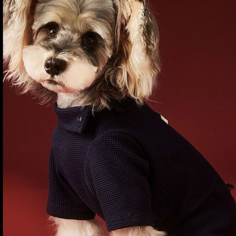 Small Dog Four-Leg Autumn Winter Base Layer