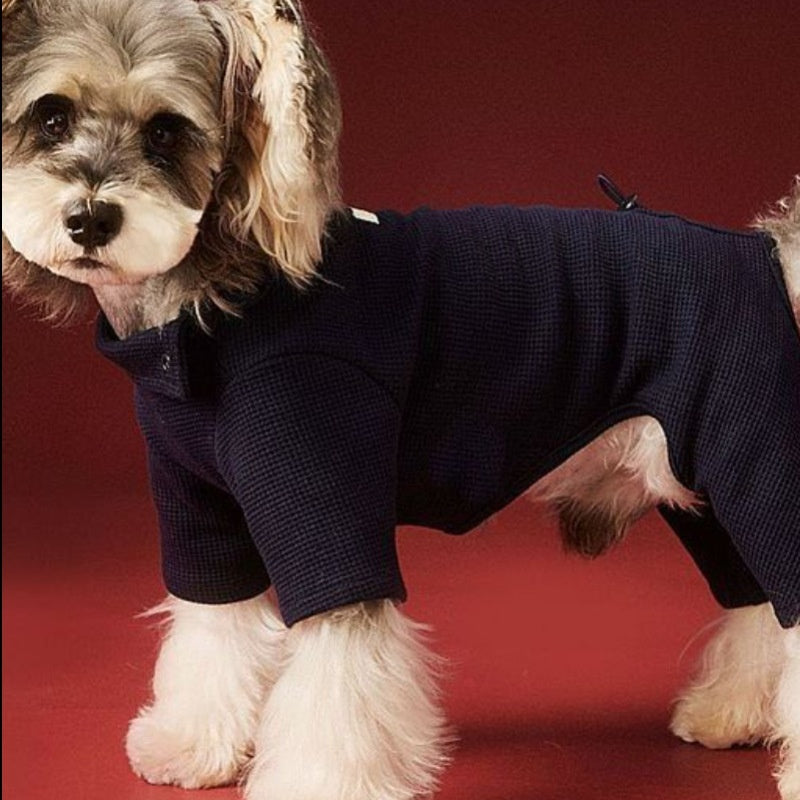 Small Dog Four-Leg Autumn Winter Base Layer
