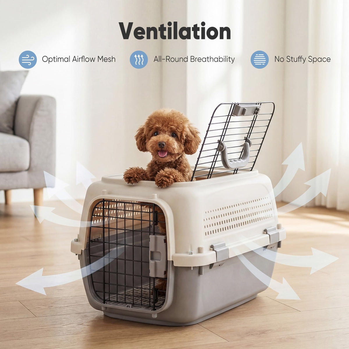 Airline Approved Small Pet Travel Carrier
