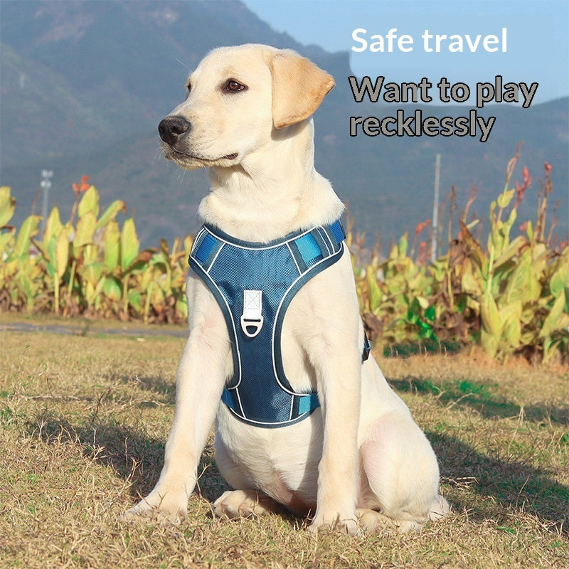 Automatic Retractable Dog Leash Harness Set