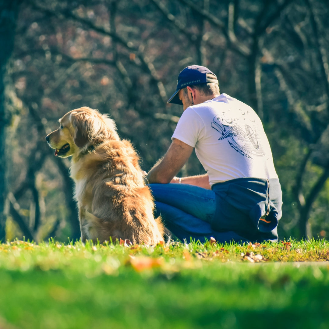 A man wearing a white graphic t-shirt, blue jeans, and a dark cap kneels on grass next to a golden retriever dog in an outdoor park setting with trees in the background.