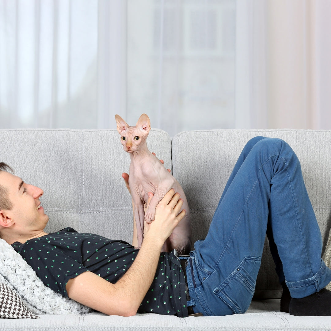 A man lying on a light gray couch holds a hairless pink cat in a bright living room setting.