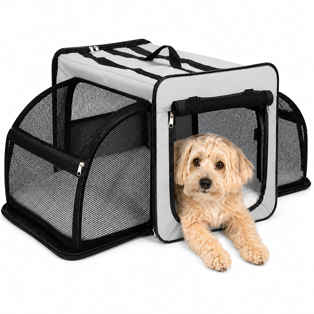Dual-Sided Expandable Folding Pet Crate Carrier