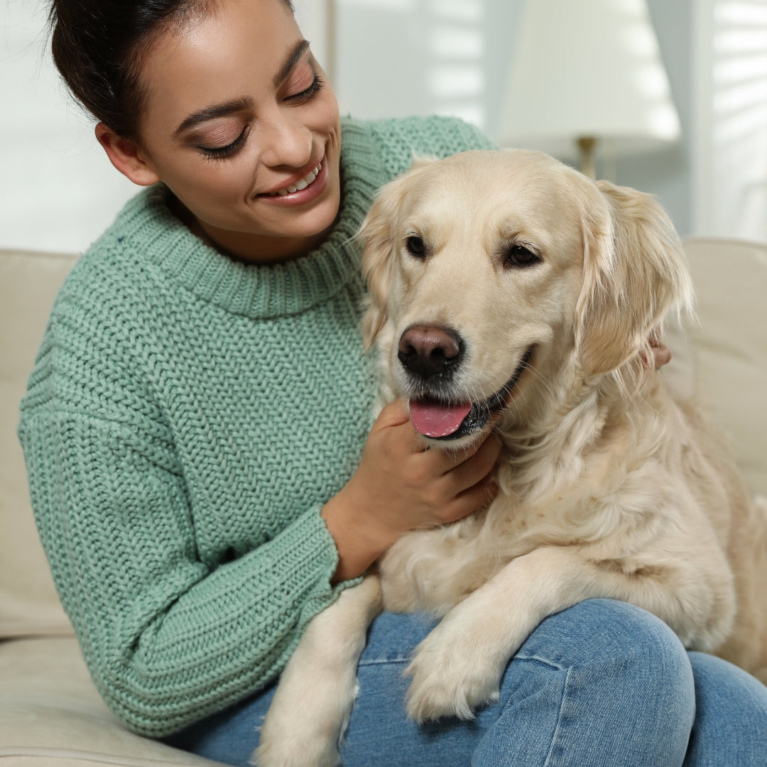 A woman in a mint green knit sweater and blue jeans smiles while holding a golden retriever dog on her lap in a brightly lit living room.