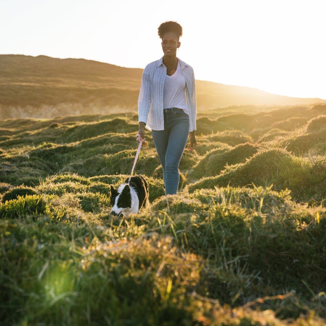 A woman walks a black and white dog on a grassy hillside during golden hour, wearing a white button-up shirt and blue jeans.