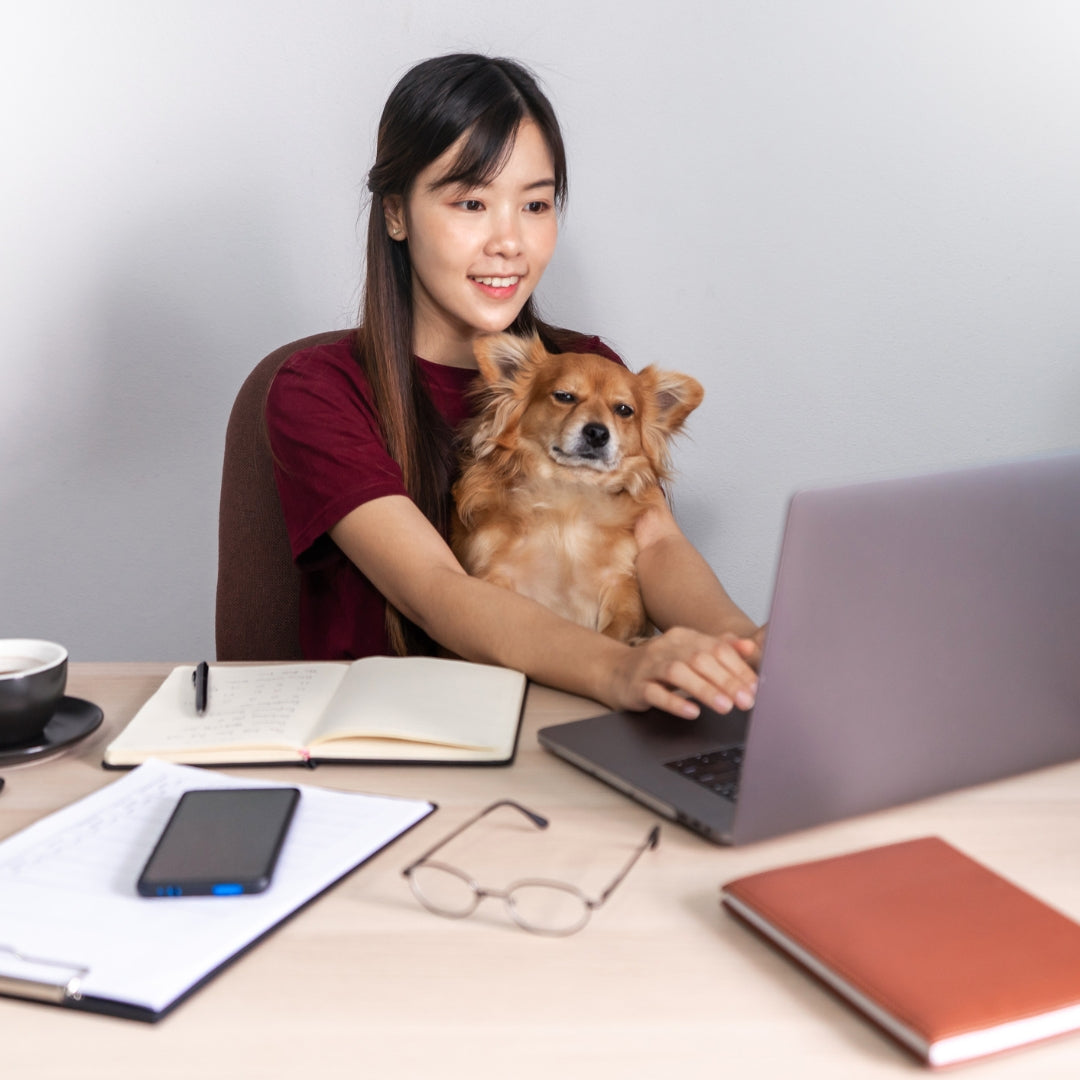 A woman sitting at a desk with a small brown dog on her lap, using a laptop. The desk has notebooks, a smartphone, eyeglasses, and a brown notebook in front of her against a plain light gray wall.